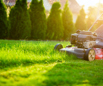 Outdoor maintenance